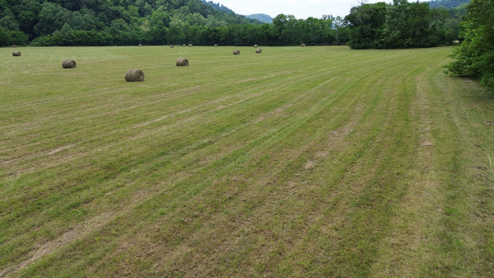 0 Dry Creek Road Dowelltown, TN 37059 - Photo 9 of 11 a view of a green field with wooden fence