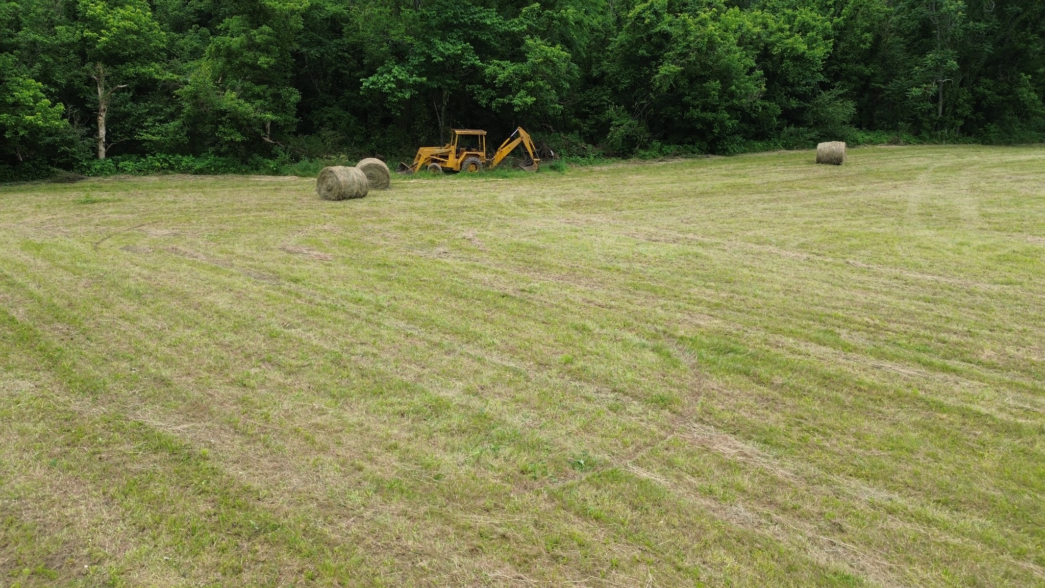 0 Dry Creek Road Dowelltown, TN 37059 - Photo 10 of 11 a view of a tree with a yard