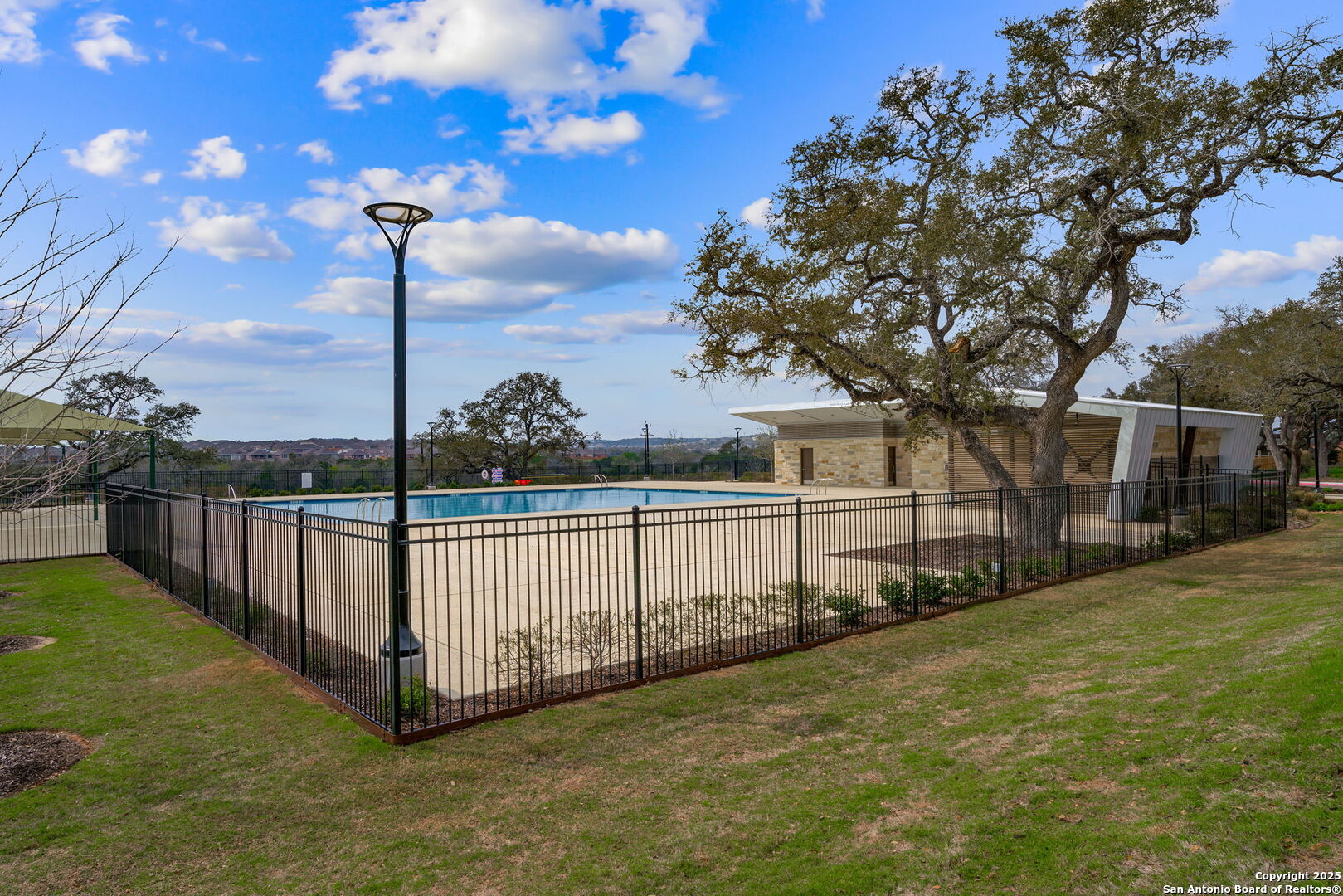 31646 Untrodden Way Bulverde, TX 78163 - Photo 29 of 36 a view of a garden with a tree in the background