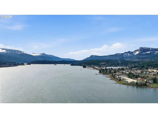 a open area with lots of green trees