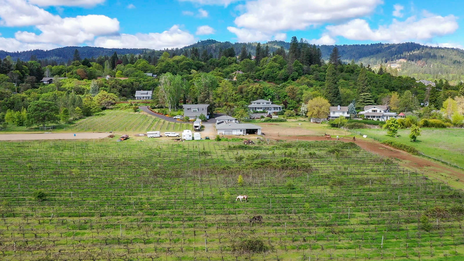 2708 Old Stage Road Central Point, OR 97502 - Photo 3 of 39 09_OSR_9_mls