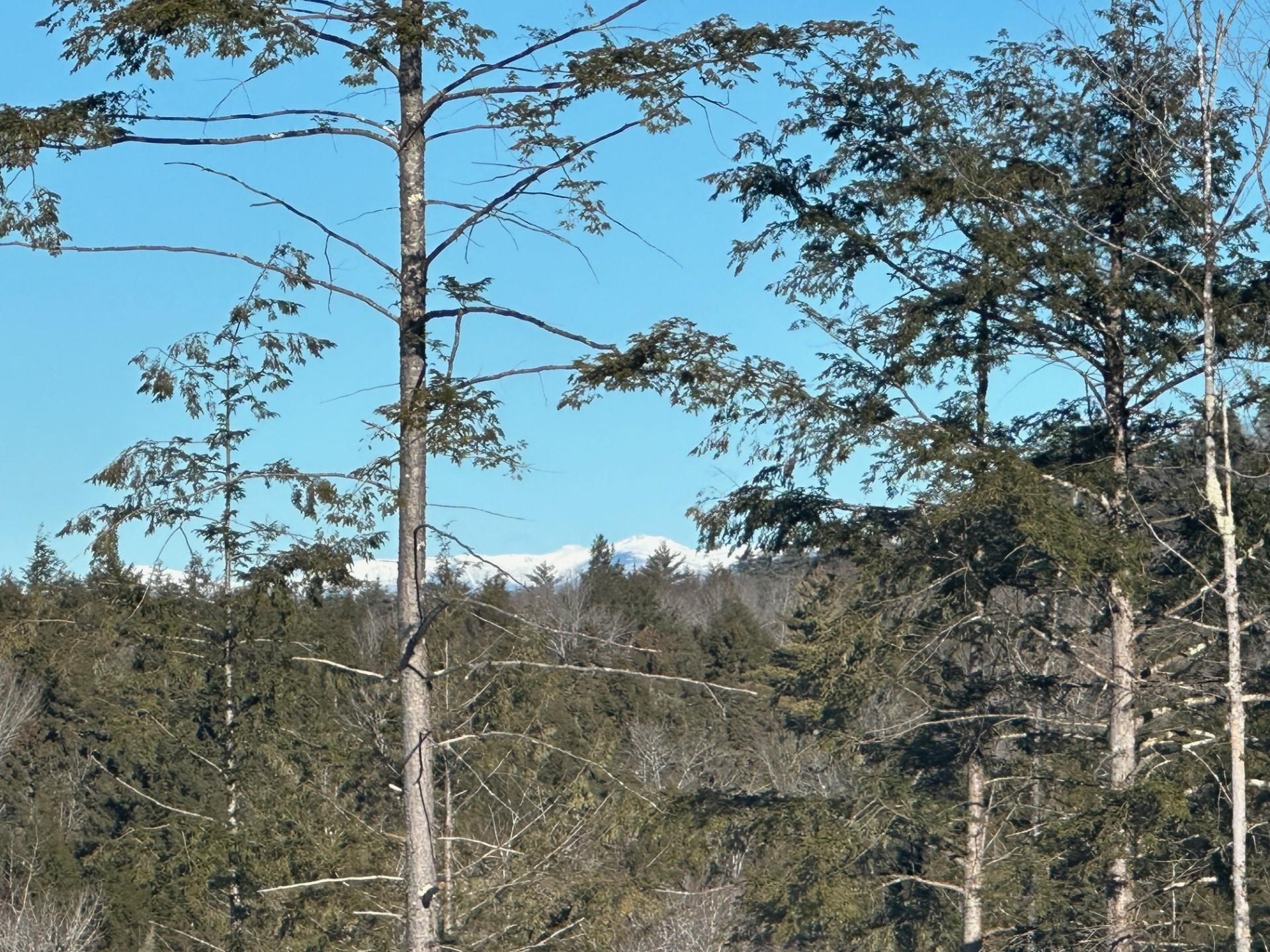 0 Brownfield Road Center Conway, NH 03813 - Photo 1 of 3 Gallery Image 1