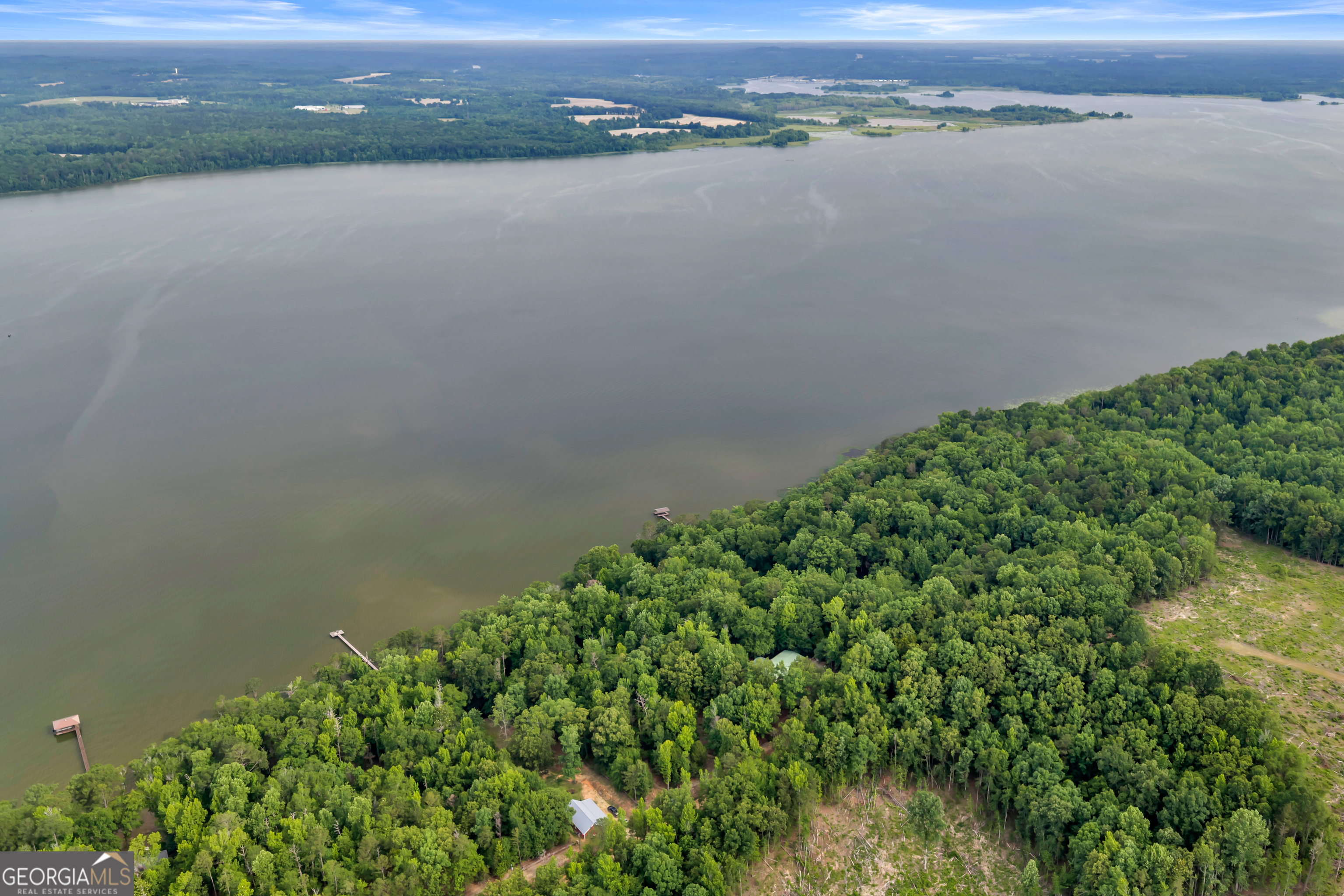 473 Vining Branch Road Georgetown, GA 39854 - Photo 10 of 43 a view of a lake with a mountain
