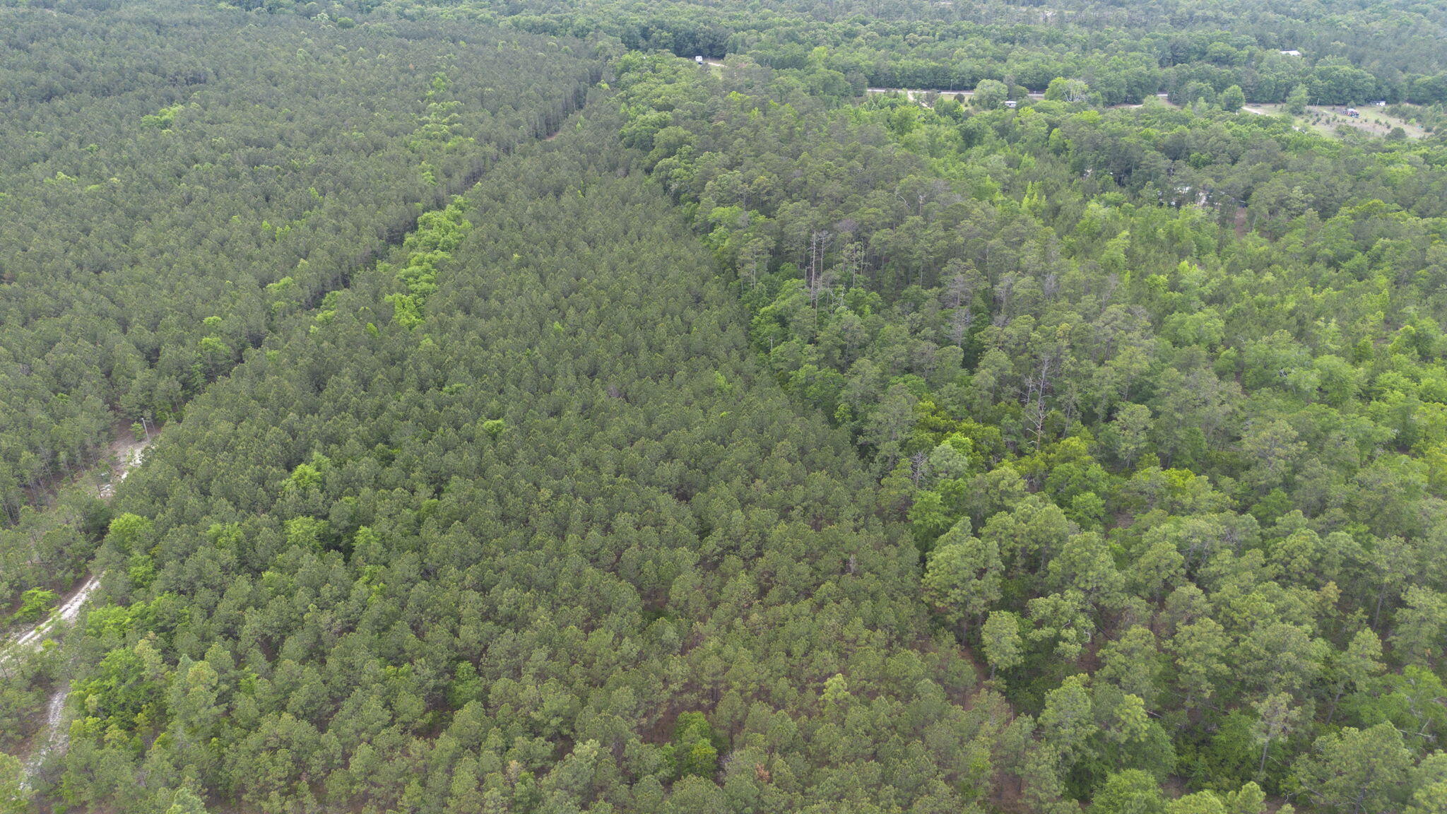 1291 Congress Road Eastover, SC 29044 - Photo 24 of 25