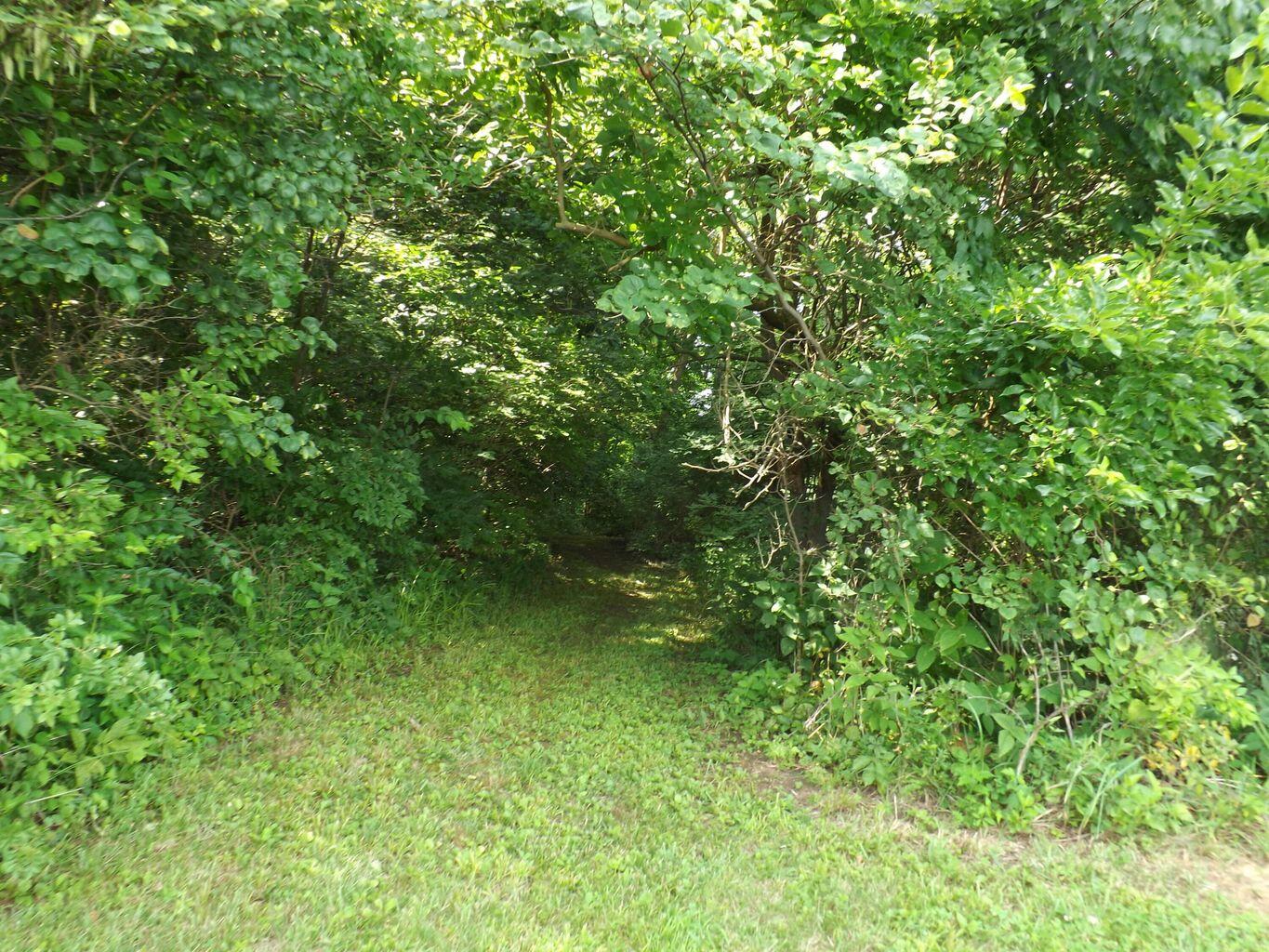 0 Fetters Road Bradford, OH 45308 - Photo 50 of 56