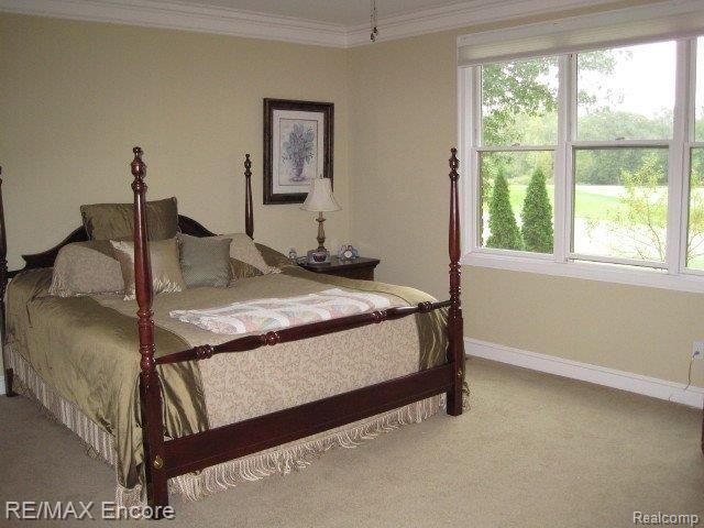 4636 Oakhurst Ridge Road, Unit 270 Clarkston, MI 48348 - Photo 16 of 25 1st Floor Master Bedroom.jpg
