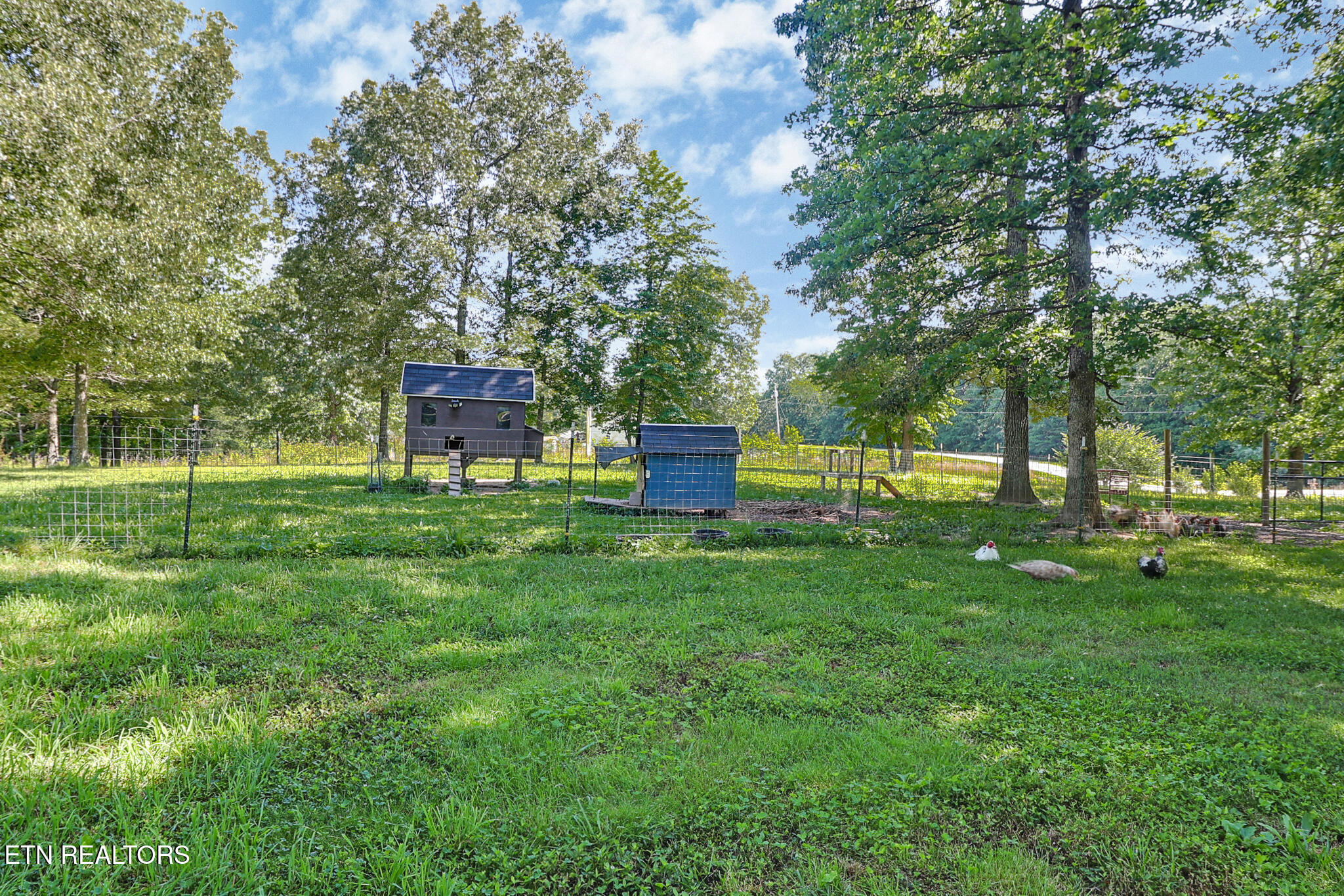 122 Frankfort Road Lancing, TN 37770 - Photo 42 of 60 Chicken Pen