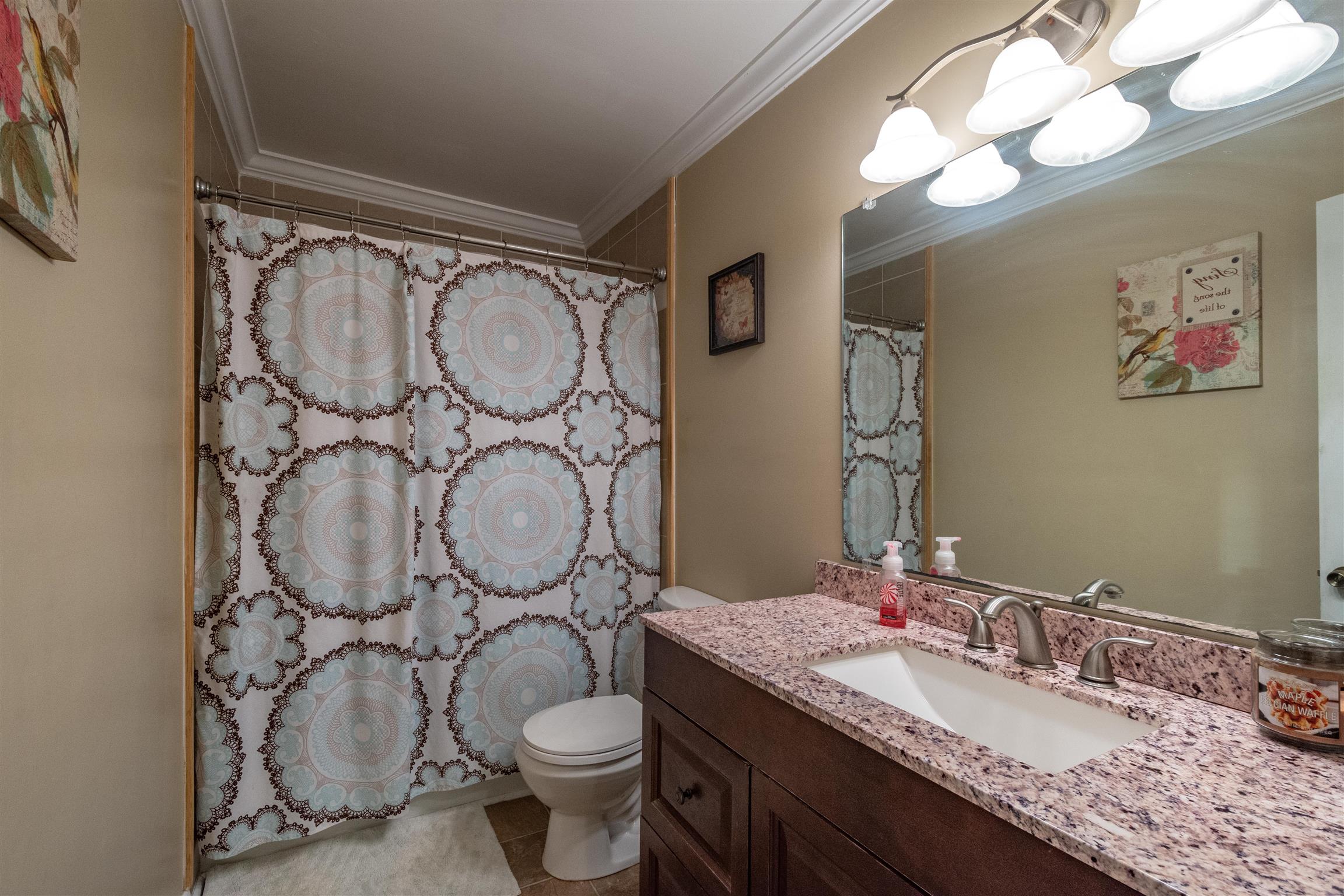 1666 Prospect Elkton Road Prospect, TN 38477 - Photo 16 of 30 a bathroom with a granite countertop sink mirror vanity and toilet