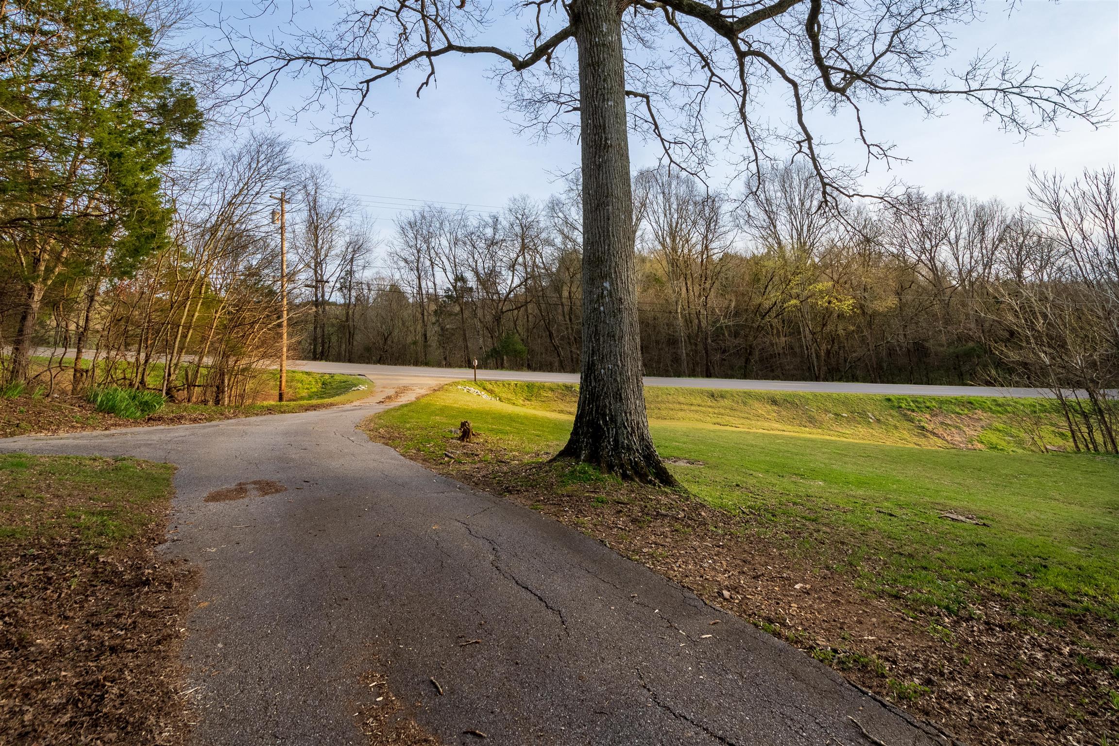1666 Prospect Elkton Road Prospect, TN 38477 - Photo 6 of 30 a view of a yard with basketball court