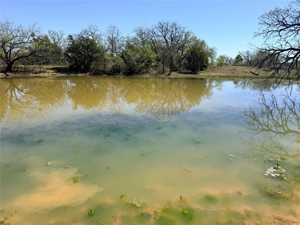 421 Erwin Road Jacksboro, TX 76458 - Photo 11 of 12