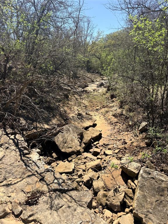 421 Erwin Road Jacksboro, TX 76458 - Photo 10 of 12