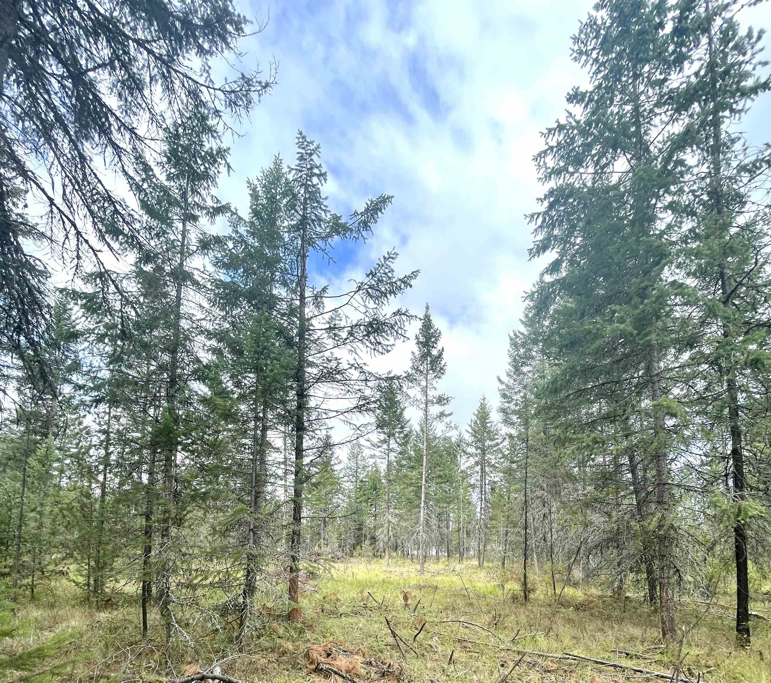 Xx North Deer Lake Road Loon Lake, WA 99148 - Photo 1 of 3 Gallery Image 1