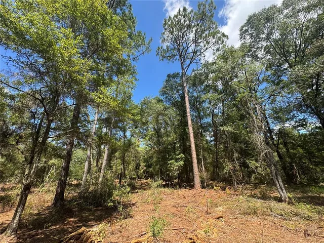 $120,000 | 1475 Northeast Rd Gainesville Road, Waldo, FL 32694