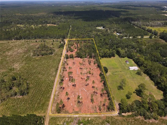 a view of a city with lots of bushes