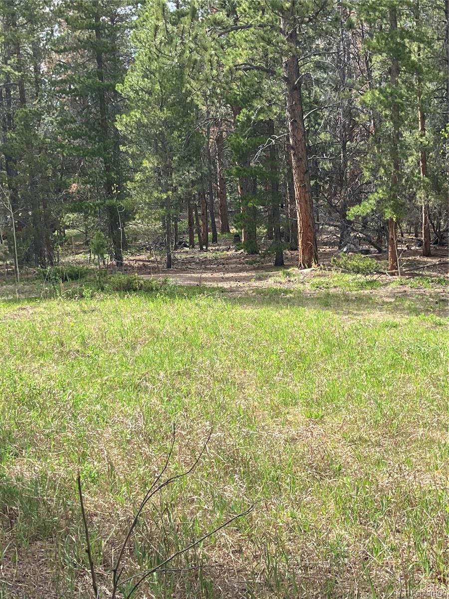 a view of swimming pool with a trees