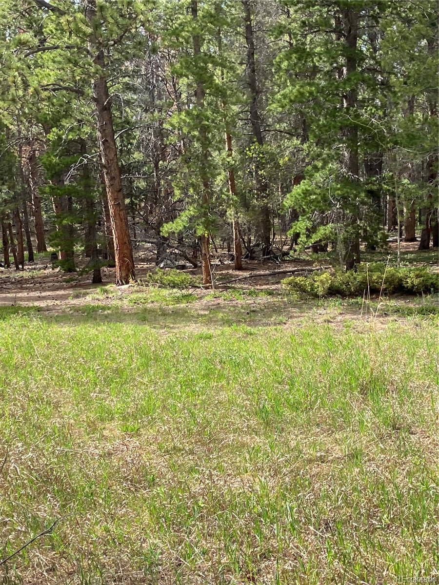 119 Cedar Way Black Hawk, CO 80422 - Photo 11 of 31 a view of a backyard with large trees