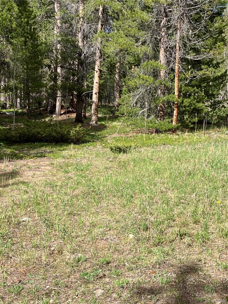 119 Cedar Way Black Hawk, CO 80422 - Photo 13 of 31 a view of a yard