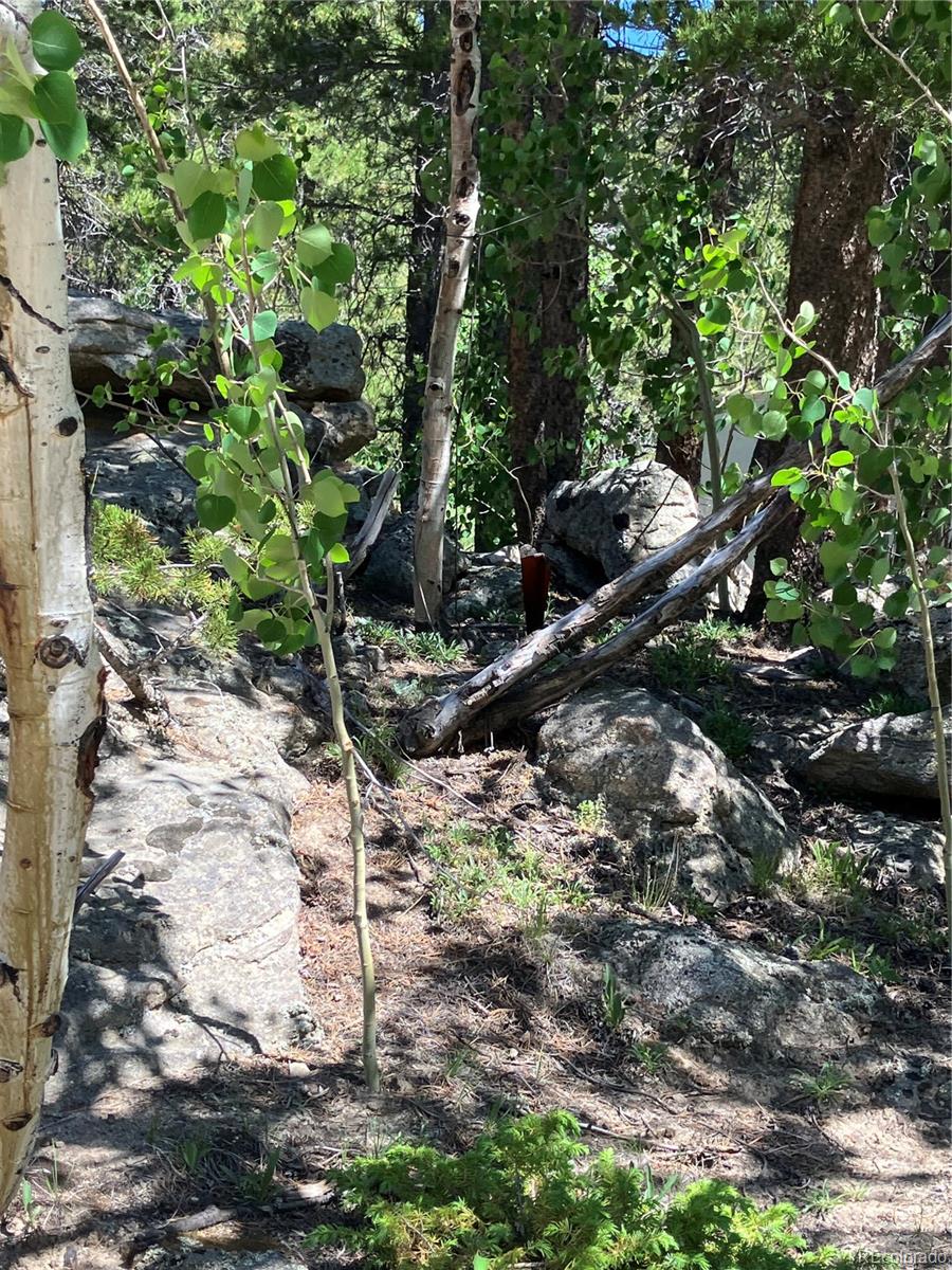 119 Cedar Way Black Hawk, CO 80422 - Photo 14 of 31 a backyard of a house with lots of green space