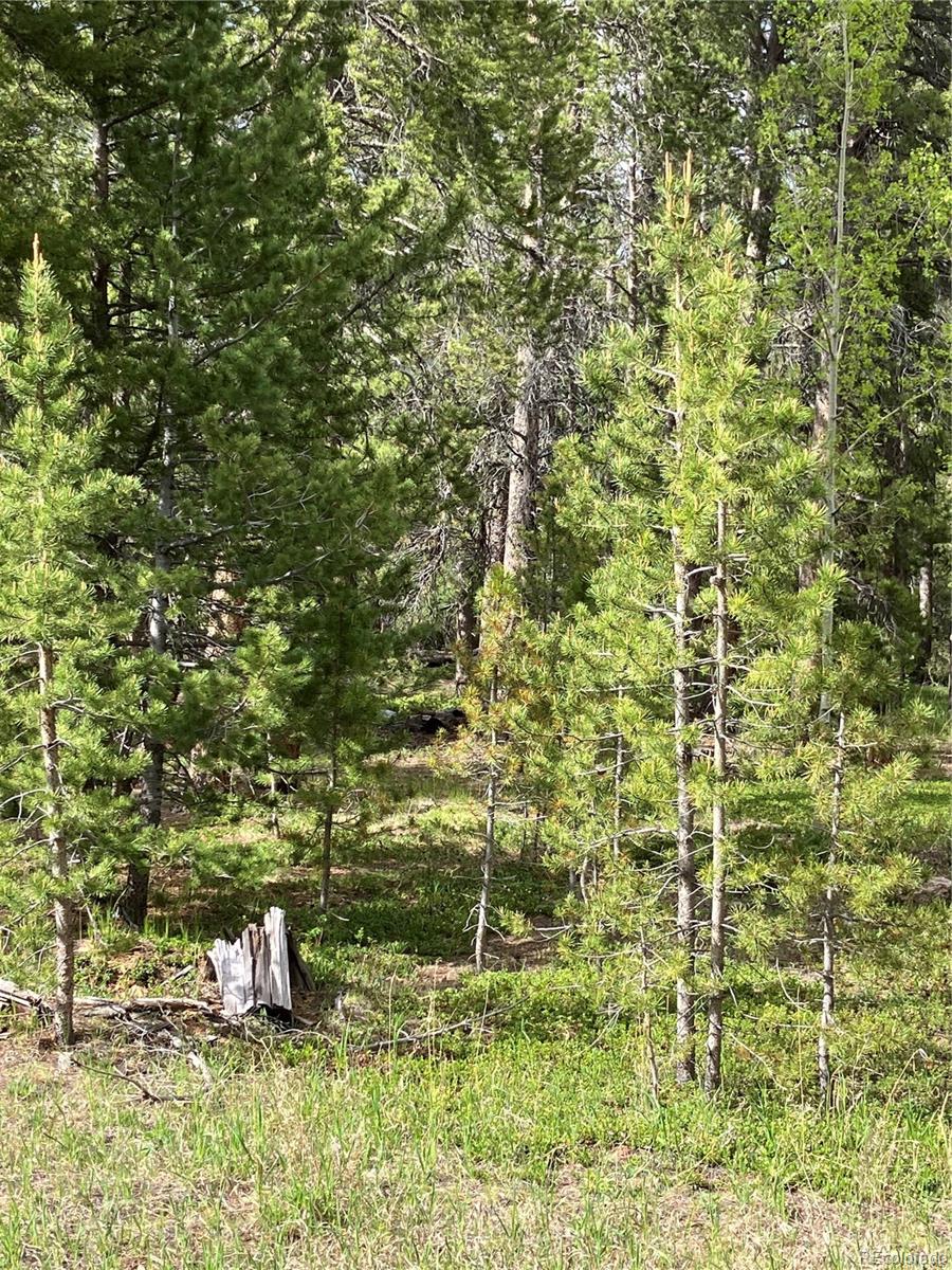 119 Cedar Way Black Hawk, CO 80422 - Photo 15 of 31 a view of a back yard