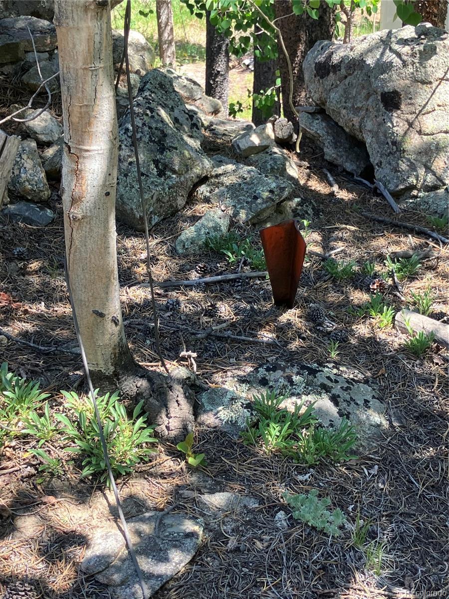 119 Cedar Way Black Hawk, CO 80422 - Photo 17 of 31 a view of outdoor space