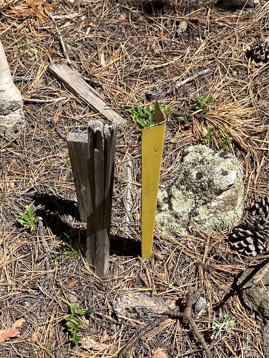 119 Cedar Way Black Hawk, CO 80422 - Photo 19 of 31 a view of water heater room