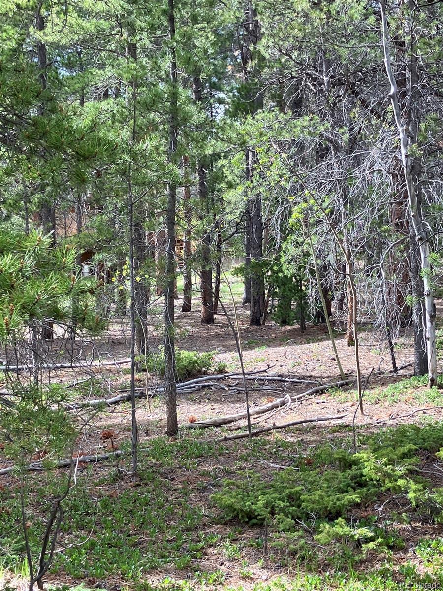 119 Cedar Way Black Hawk, CO 80422 - Photo 20 of 31 a view of park space