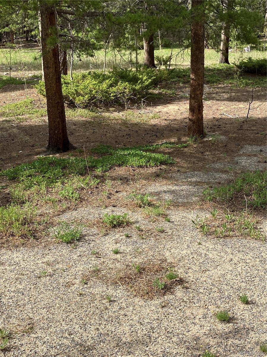 119 Cedar Way Black Hawk, CO 80422 - Photo 22 of 31 a view of a yard with plants