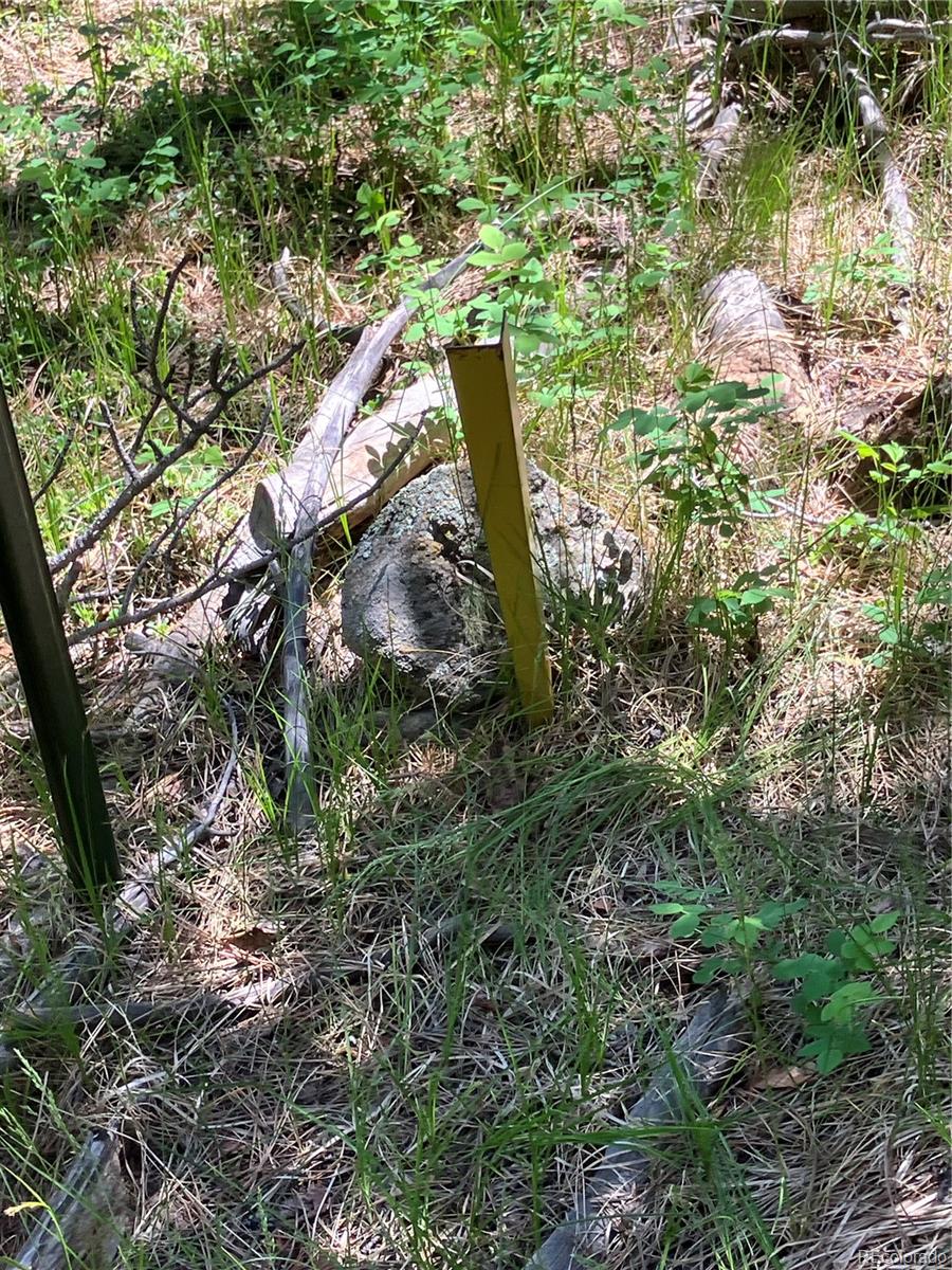 119 Cedar Way Black Hawk, CO 80422 - Photo 23 of 31 a view of a yard