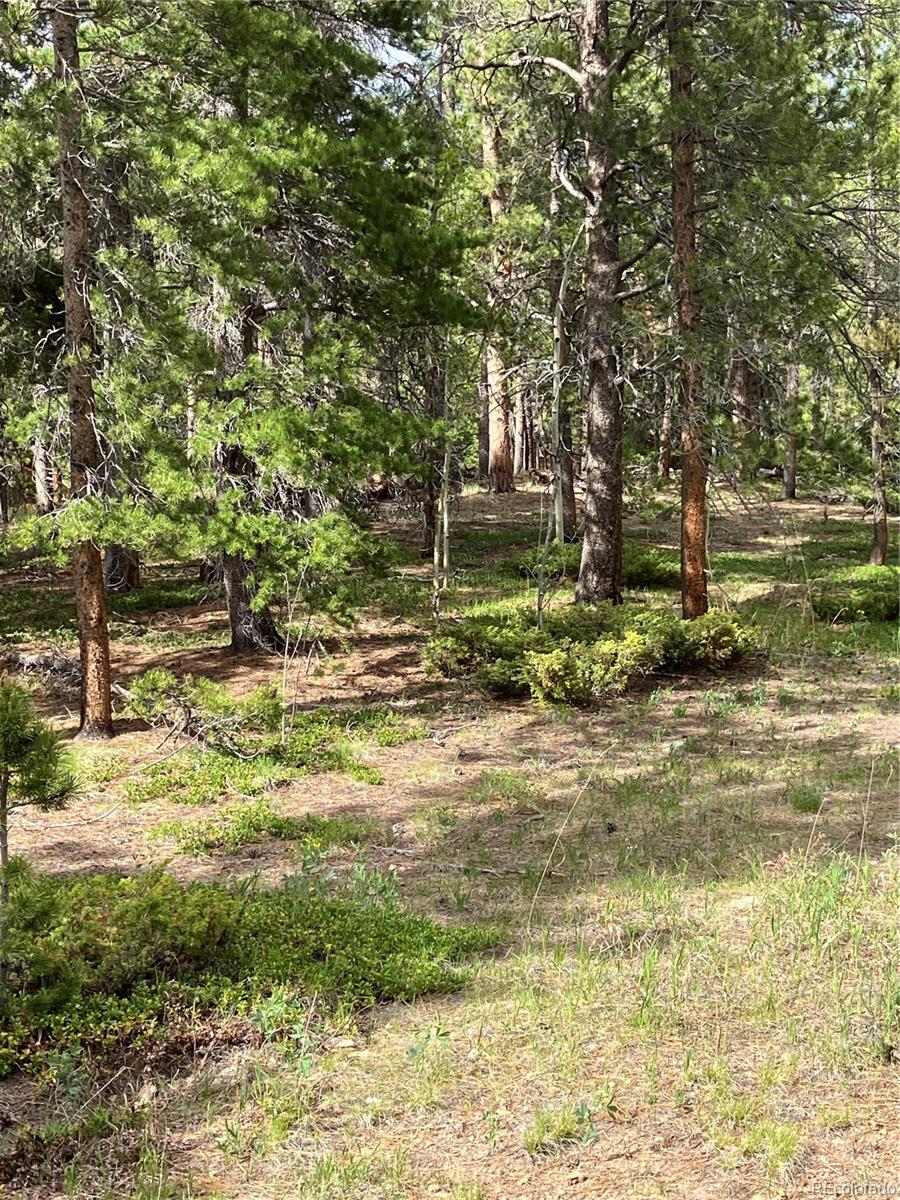 119 Cedar Way Black Hawk, CO 80422 - Photo 24 of 31 a fire hydrant in the middle of a field