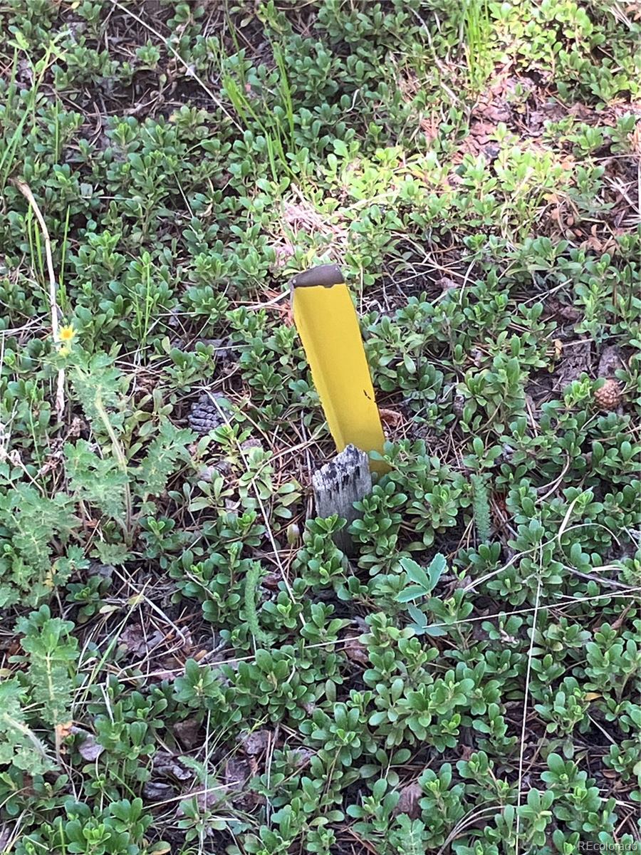 119 Cedar Way Black Hawk, CO 80422 - Photo 27 of 31