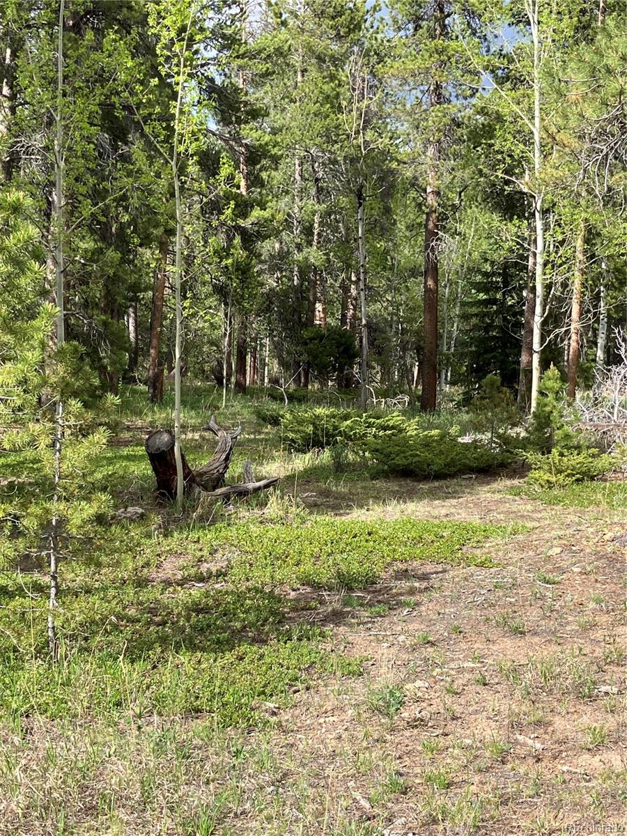 119 Cedar Way Black Hawk, CO 80422 - Photo 28 of 31 a fire hydrant in the middle of a field