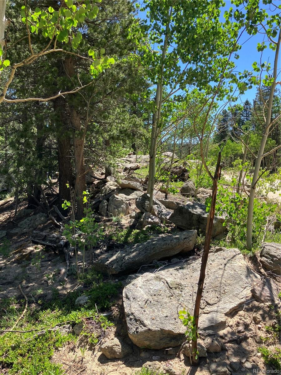 119 Cedar Way Black Hawk, CO 80422 - Photo 3 of 31 a view of a backyard of the house