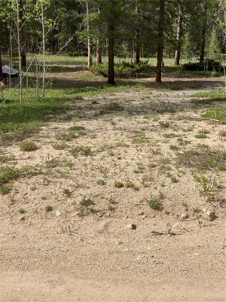 119 Cedar Way Black Hawk, CO 80422 - Photo 6 of 31 a view of a park with large trees