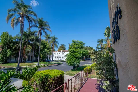 a view of a garden with palm trees