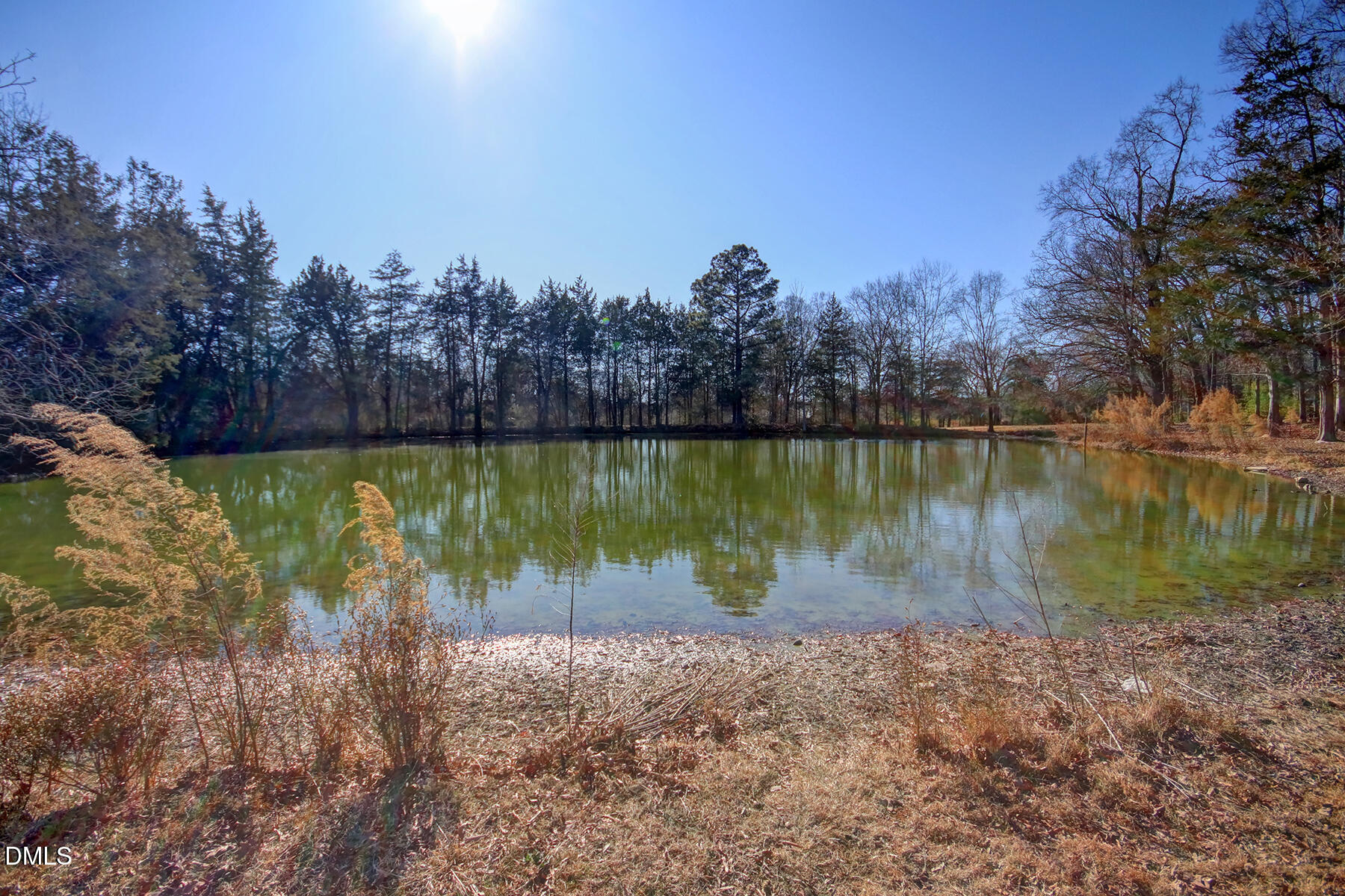 4941 Rumley Road Graham, NC 27253 - Photo 12 of 52 Pond