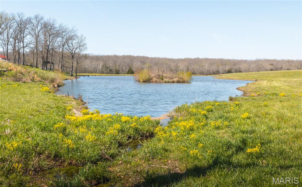 3773 Blocks Branch Road Owensville, MO 65066 - Photo 62 of 77