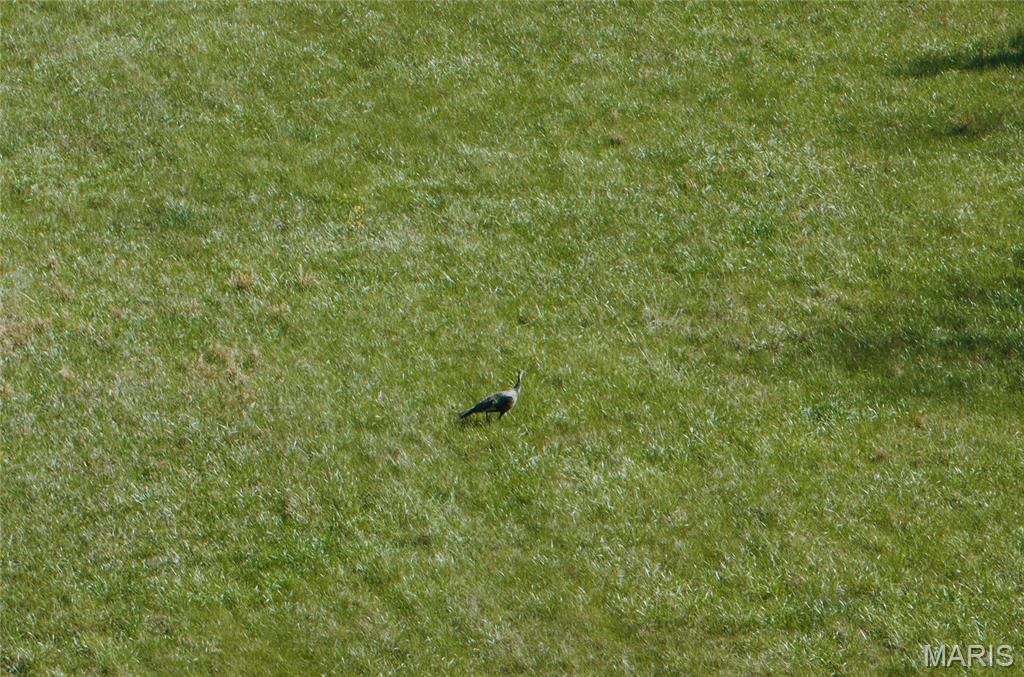 3773 Blocks Branch Road Owensville, MO 65066 - Photo 69 of 77