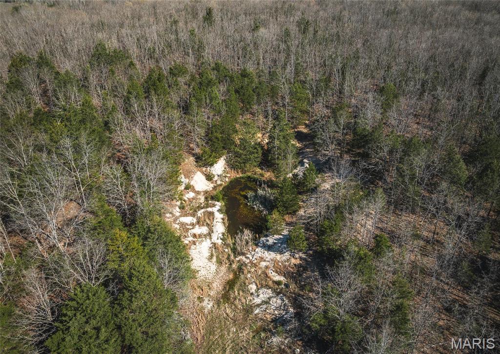 3773 Blocks Branch Road Owensville, MO 65066 - Photo 71 of 77