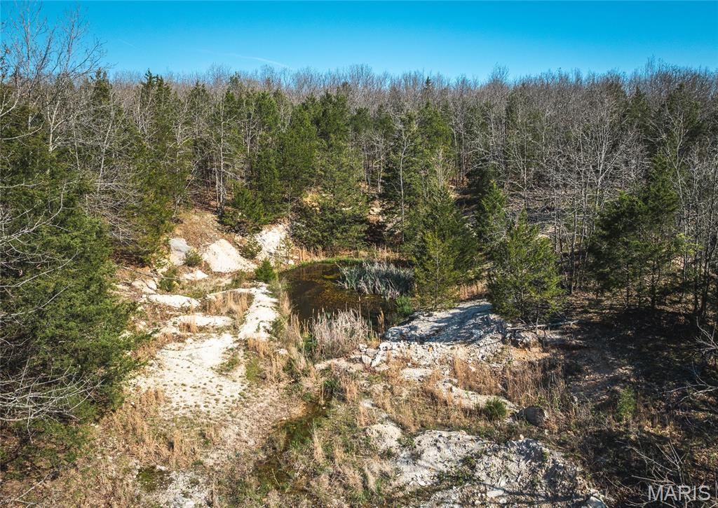 3773 Blocks Branch Road Owensville, MO 65066 - Photo 72 of 77