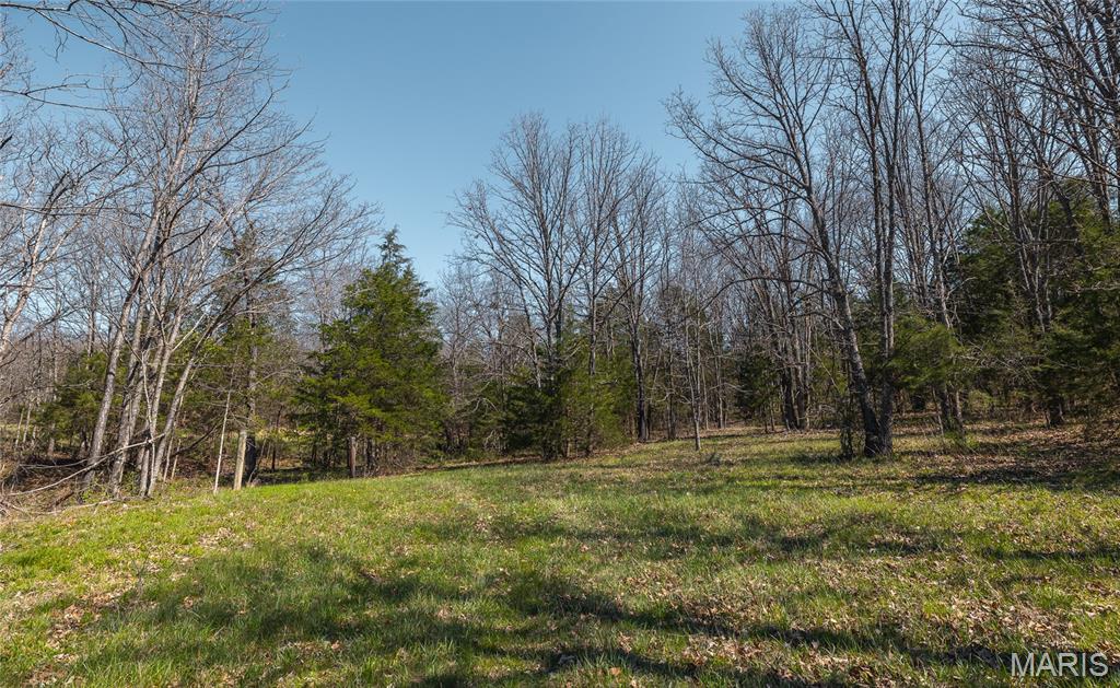 3773 Blocks Branch Road Owensville, MO 65066 - Photo 73 of 77