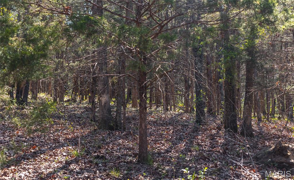 3773 Blocks Branch Road Owensville, MO 65066 - Photo 74 of 77