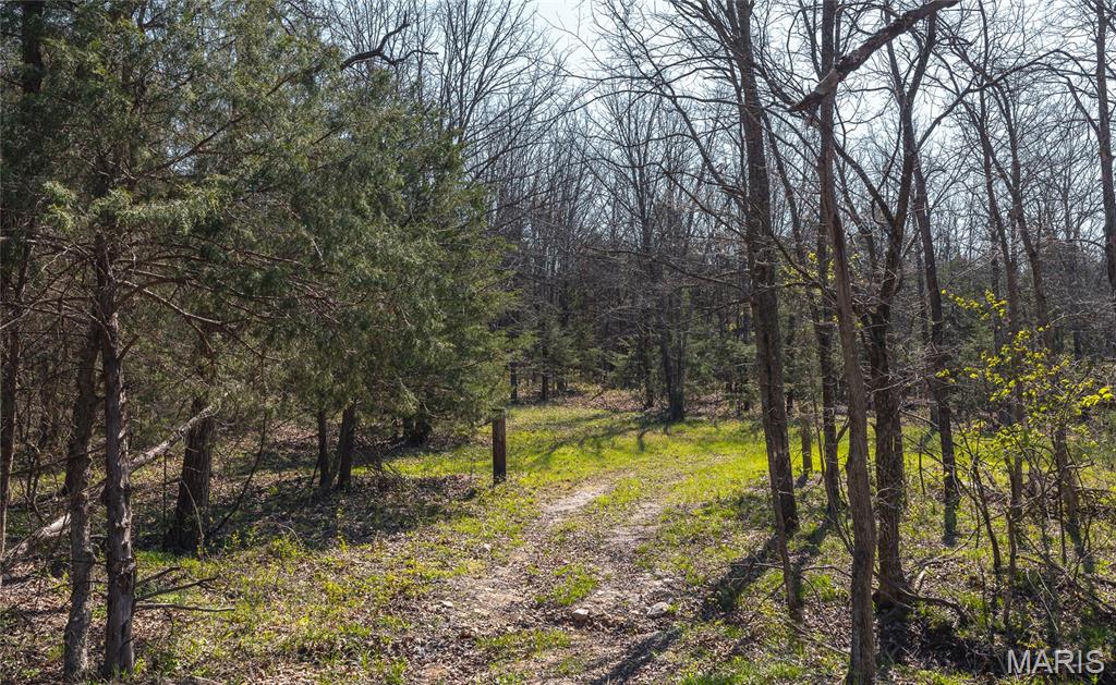 3773 Blocks Branch Road Owensville, MO 65066 - Photo 75 of 77