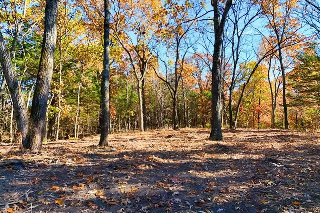 $98,640 | 10 Mm Highway, Warsaw, MO 65355