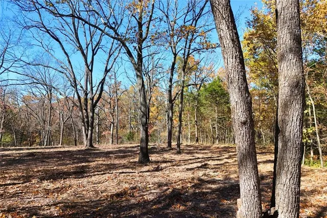 $98,640 | 10 Mm Highway, Warsaw, MO 65355