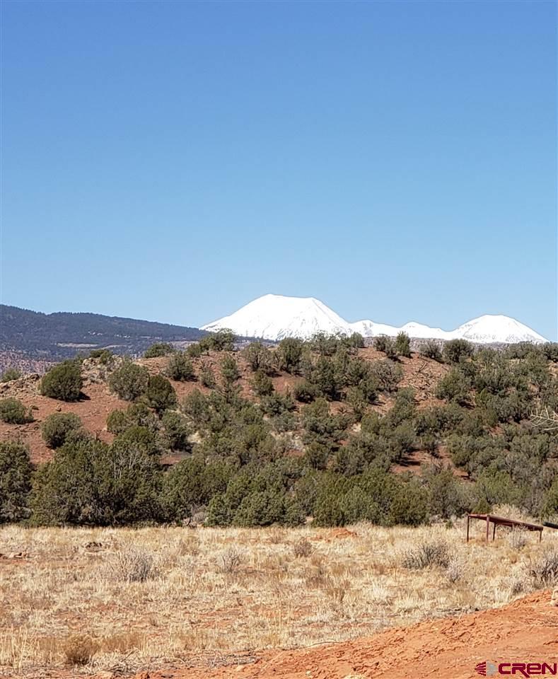 8125 V Road Paradox, CO 81429 - Photo 21 of 28 Gallery Image 21