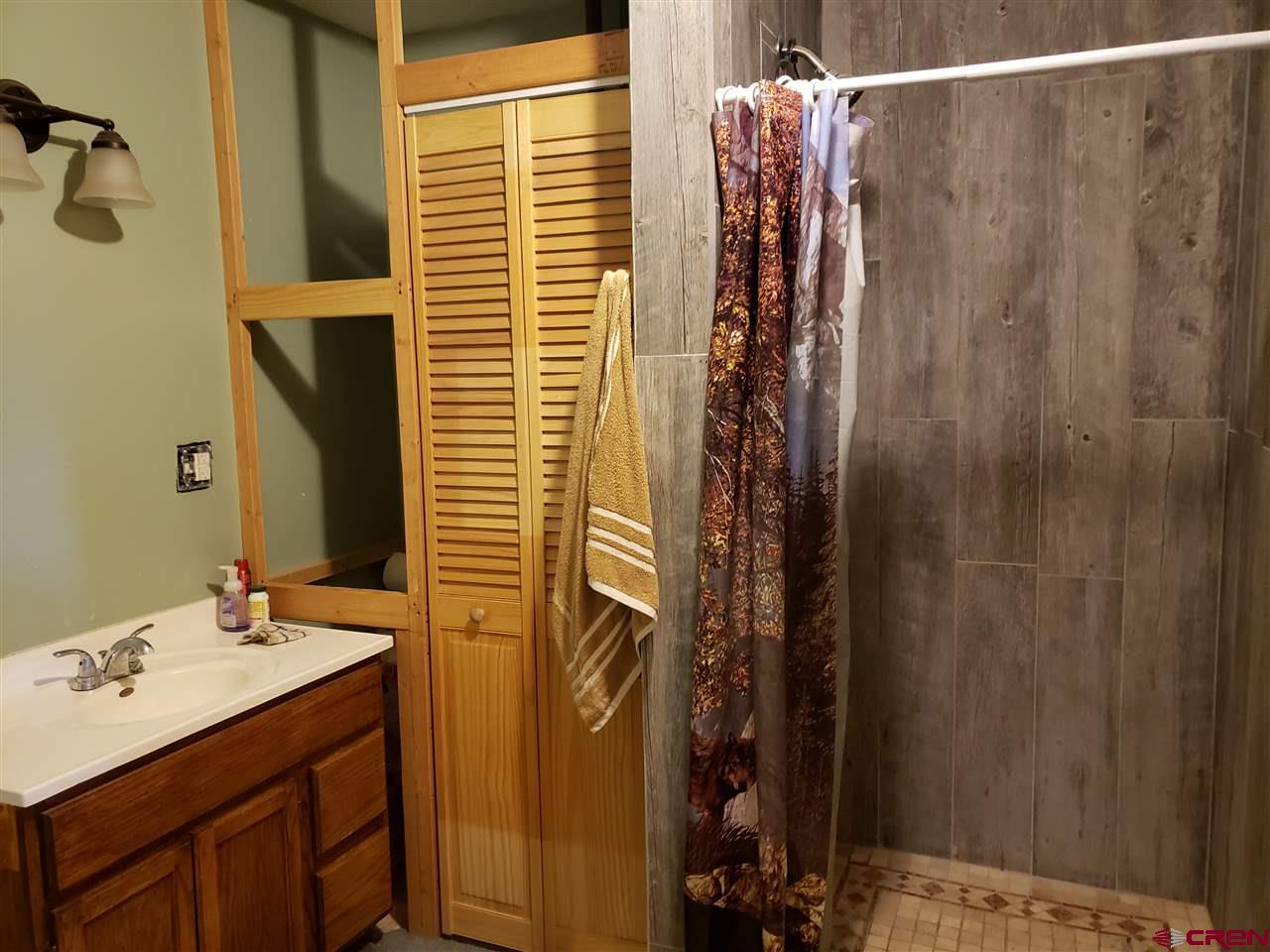 8125 V Road Paradox, CO 81429 - Photo 9 of 28 Gallery Image 9