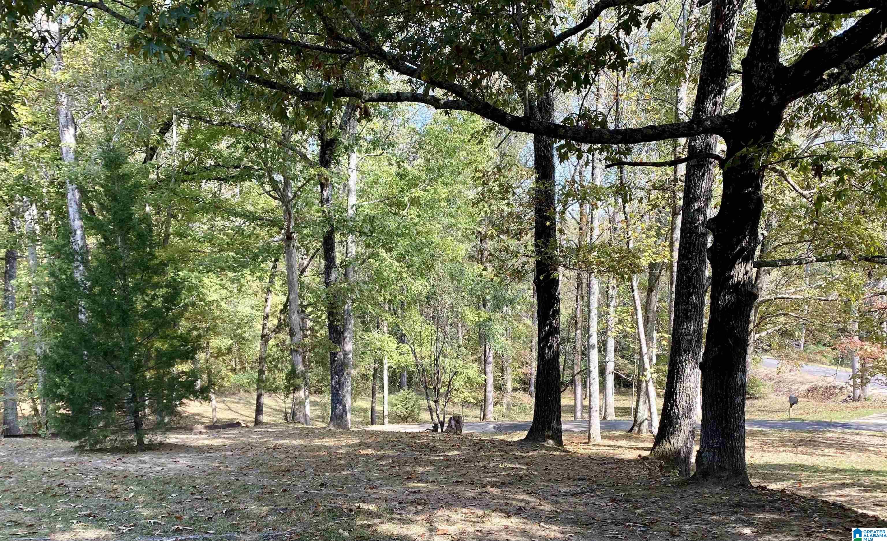 9374 Bagley Road Dora, AL 35062 - Photo 43 of 46
