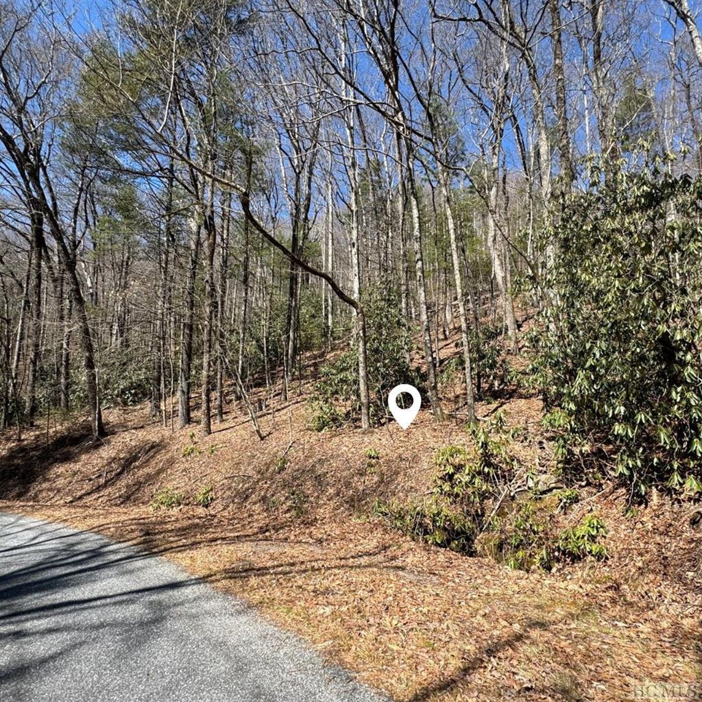 Tbd Clear Creek Road Highlands, NC 28741 - Photo 5 of 5 Gallery Image 5