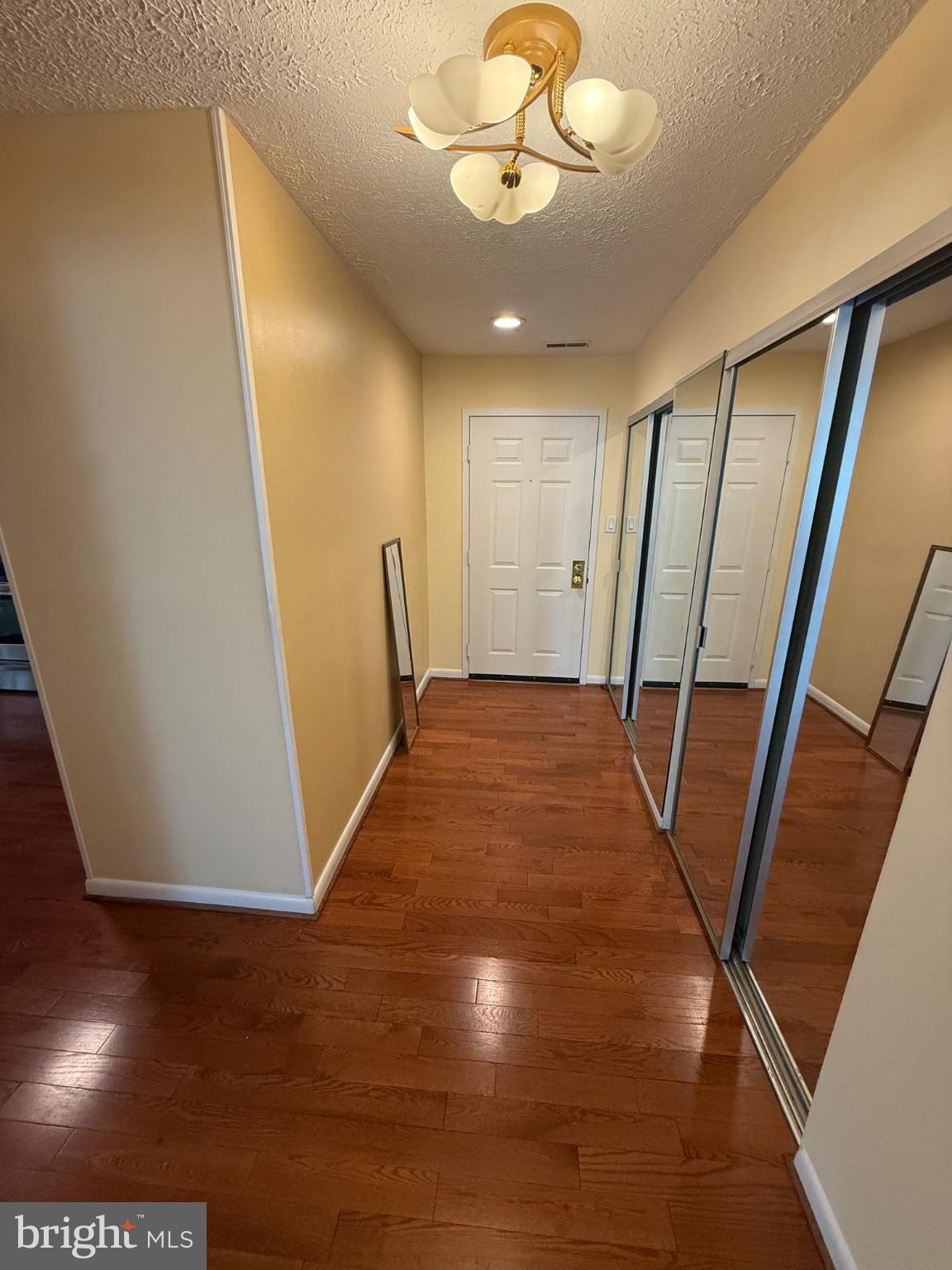 2101 Woodbox Lane, Unit B Baltimore, MD 21209 - Photo 4 of 21 Welcoming entryway with mirrored accents.