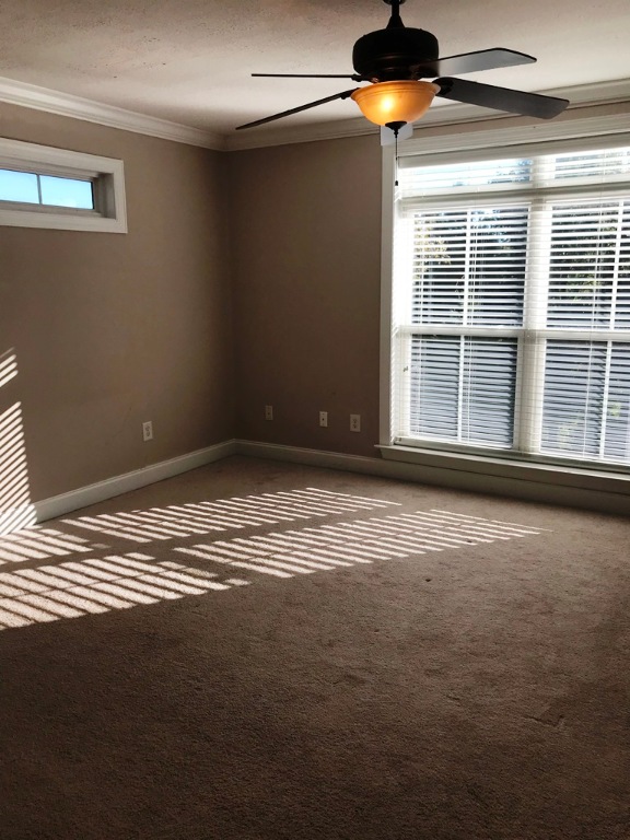 103 Pickens Street, Unit 1 Clemson, SC 29631 - Photo 14 of 16